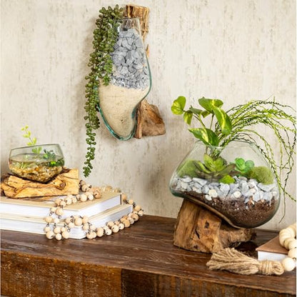 Cape Craftsmen 10" Hand-Blown Blue Tinted Bubble Glass On Natural Teak Driftwood Terrarium Kit | Home Décor Indoor Planter with Stand | Pot for Succulent and Plants - size: Medium (With Stand)