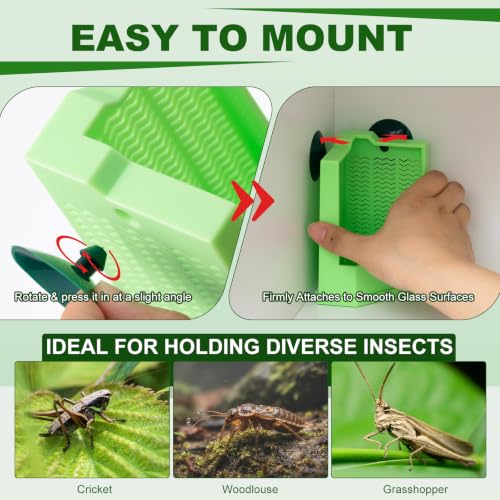 Reptile Feeder Combo Set, 2 Pack Escape-Proof Corner & Wall-Mounted Bowls with 2 Pack 10.6" Stainless Steel Straight & Curved Tongs with Rubber Tips for Bearded Dragon Gecko Lizard Frog
