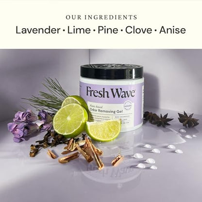 Fresh Wave Lavender Odor Eliminator Gel 2Pk 15 oz - Air Freshener for Home | Lasts 30-60 days. Plant-based odor absorber. No perfumes or harsh chemicals. Bathroom & closet deoderizer. Refills available. - size: 15 Fl Oz (Pack of 2)
