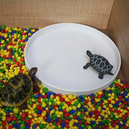 OMEM Reptile Food Bowl Water Dish,Feeding Dish, Birds Bowl (M, White) - color: White, size: Medium