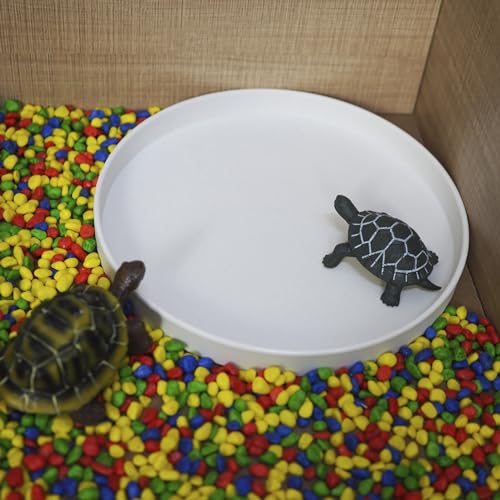 Reptile Food Bowl OMEM Water Dish,Feeding Dish, Birds Bowl (S, White) - color: White, size: S