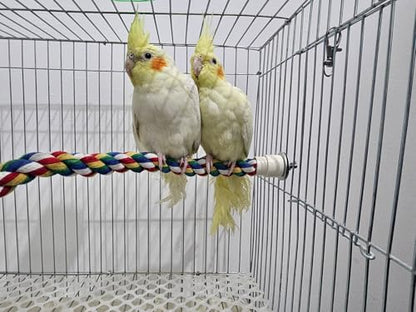 31.5'' Bendable Climbing Bird Rope Perch for Cage, Metal Nut | Bird Cage Accessories, Cotton Rope, Colorful Fun Bungee Toy, For Parrot