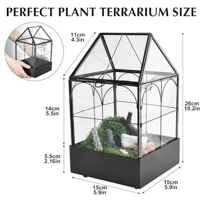 Glass Terrarium with Metal Tray, Glass Greenhouse Terrarium Kit | for Succulents, Cacti, Snails, Spiders, and Miniature Reptiles, Black (Small-5.9" L x 5.9" W x 10.2" H) - size: Small-5.9"L x 5.9"W x 10.2"H