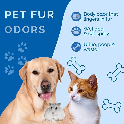 No Scent Pet Fur Odor Spray & Rinseless Cleaner for Dog, Cat, Hamster, Small Animal & Furry Pets (2 Fl Oz / 59 mL) - size: 2 Fl Oz (Pack of 1)