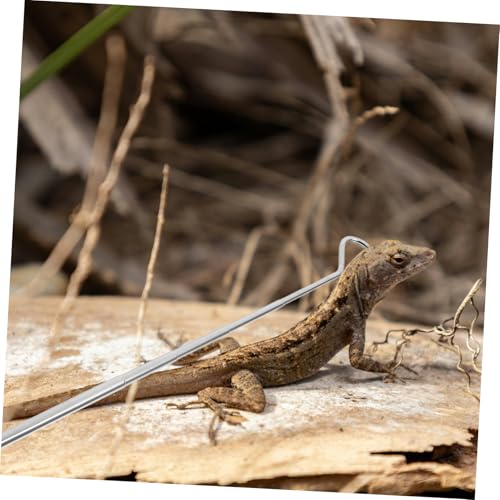 BESPORTBLE Retractable Reptile Hook Stainless Steel Snake Catcher for Safe Handling of Snakes and Reptiles Extends for Maximum Reach and Grip