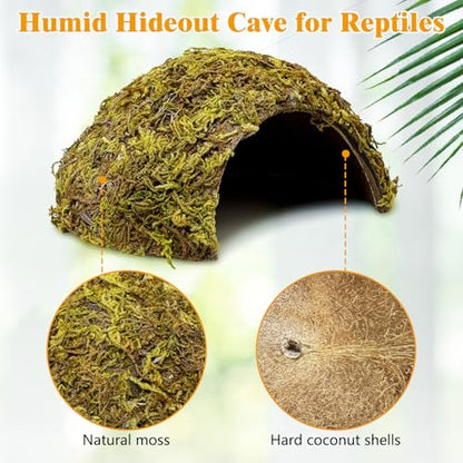 PINVNBY 4 Pack Natural Green Moss Hide Caves Coconut Reptile Hideouts Hamster Climbing Toys Gecko Habitat Decor Lizard Shell Shelter for Snake Tarantulas Turtle Chameleon - size: 4 PCS Moss Surface