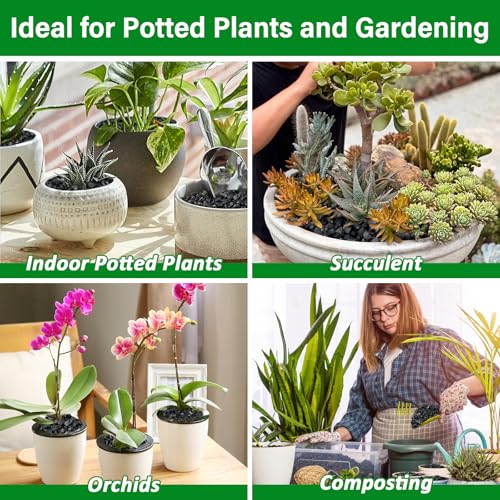 10QT All Natural Horticultural Charcoal- Activated Hardwood Plant Charcoal for Soil Amendment, Conditioning Bonsai Soil, Succulent, Terrarium Supplies, Indoor Plant Potting Soil - color: 10 QT