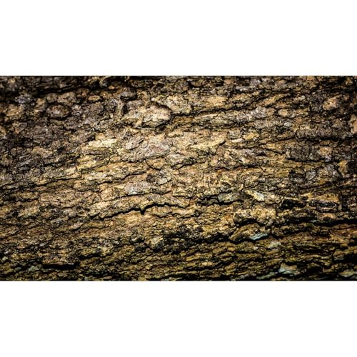 Tree Bark Texture Reptile Tank Background Old Wood Texture Aquarium Background Aged Rough Natural Wooden Bark Terrarium Background Wooden Textured Aquarium Fish Tank Background Wallpaper 36x18in - color: Brown_Black, size: 36(W)x18(H)inches/ 90(W)*45cm(H)