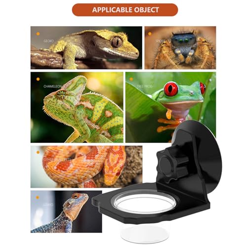 Reptiles Feeder Terrariums Wall Mount Multiple Bowl with Suction Cup Water and Food Dispenser for Small Pet Reptiles Feeder with Suction Cup - color: Single bowl