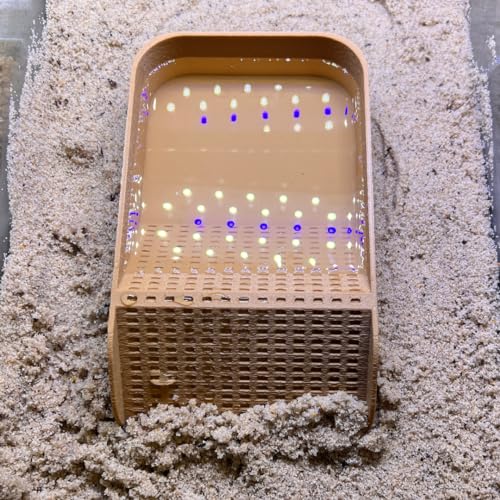 Hermit Crab Watering Pool | Platform Pool Accessory with Access Ramp for Hermit Crabs | 6.5" x 4" | Made in USA (Salt Only, Tan) - color: Salt Only, Tan