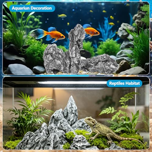 3 LB Aquarium Rocks Stones, 2-6 inches Natural Seiryu Stone, Fish Tank Decor Rocks for Fish Tank Landscaping, Bonsai, Gardens, Reptile Terrariums Paludarium Amphibian Enclosures Aquarium Decor