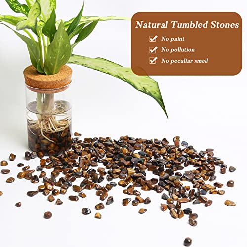 QICQDRAM Polished Gem Stones Rocks Tiger's Eye Crystals Chips Natural 1LB | Small Tumbled Stones Crystal Chips Bulk for Healing Crystals Fish Tank Gravel Vase Filler (405g/14.28oz) - color: Tiger's Eye