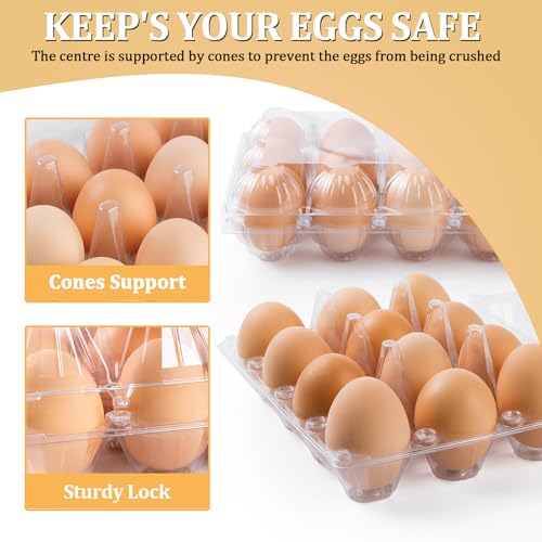 40PCS Plastic Egg Cartons 18 Count,Clear Egg Cartons Cheap Bulk | Reusable Egg Holder for Family,Pasture,Farm Markets Display - Medium Egg Containers 3x6 Grids - style: 3x6Grids-40count