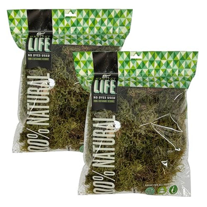 Deco Moss for Terrarium Habitats, Medium 2-Pack | Preserved Moss for Reptiles, Amphibians & Invertebrates Terrariums, Humidity Control, Soft, Dye-Free, Family Owned, USA Made - size: Medium 2-pack, style: Deco Moss