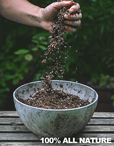 Carnivorous Plant Soil Mix, 1 QT Small Size Bag for Repotting, All Natural Ingredients Great for Venus, Sundews, and Pitcher Plants - size: 1Qt