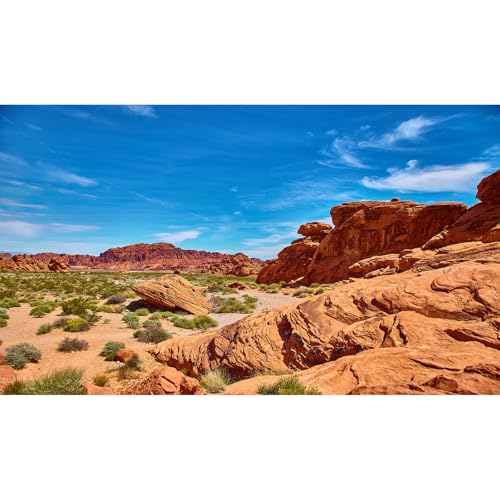 Terrarium Background Red Rocks Reptile Terrarium Background Reptile Tank Background Desert Rocky Bush Thorns Wilderness Reptile Habitat Background Bearded Dragon Tank Aquarium Background 24x12in - color: Oasis Brown, size: 24(W)x12(H)inches/ 60(W)*30cm(H)