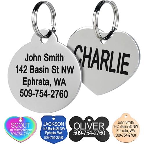 GoTags Stainless Steel Pet ID Tags, Personalized Dog Tags and Cat Tags | up to 8 Lines of Custom Text, Engraved on Both Sides, in Bone, Round, Heart, Bowtie and More (Round, Small (Pack of 1)) - size: Small (Pack of 1), style: Round