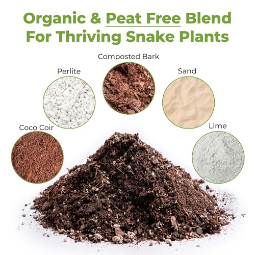 Perfect Plants Snake Plant Soil, 4 qt, Coco Coir Potting Mix | All-natural pine bark, perlite and sand blend for Sansevieria varieties, drains fast to protect roots, no added fertilizer - size: 4qt.