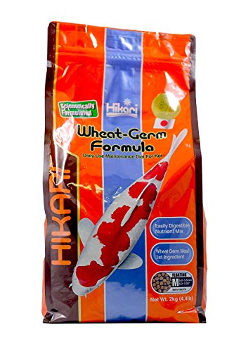 Hikari Usa Inc AHK06370 Wheat Germ 4.4lb, Medium - color: Black, size: 4.38 Pound (Pack of 1)