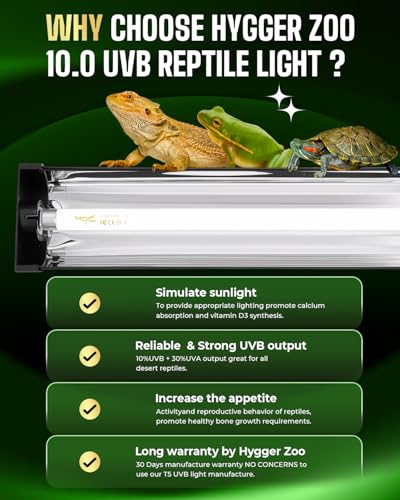 T5 UVB Reptile Light Fixture HO UVB Bulb Lighting Combo Kit 8W Reptile Light Bar Terrarium Hood 10.0 UVB Light Bulb Fluorescent Tube UVA UVB Desert Lamp for Bearded Dragon Tropical and Deserts - size: 8W-12.4IN
