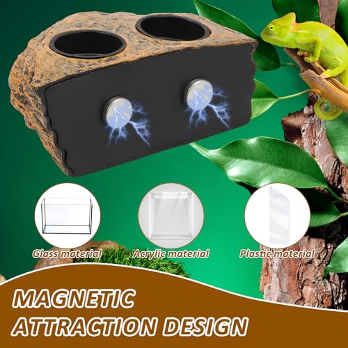 Reptile Magnetic Feeder Ledge, Reptile Food Water Dish with 2Pcs Bowls, Double Bowl Gecko Feeder Ledge, Reptile Feeding Bowl, Lizard Feeding Ledge for Lizard Crested Gecko