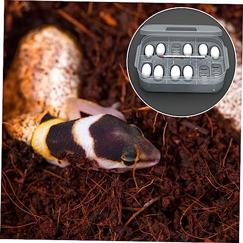Reptile Incubation Box Transparent Hatchery for Lizard Eggs Design Easy to Clean Lightweight and Compact for Reptile Breeding and Hatching