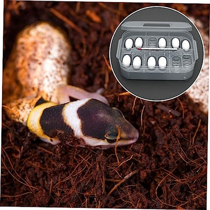Reptile Incubation Box Transparent Hatchery for Lizard Eggs Design Easy to Clean Lightweight and Compact for Reptile Breeding and Hatching