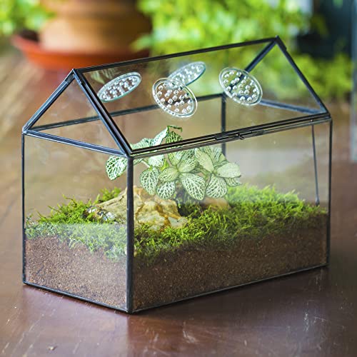 NCYP Glass Terrarium with Lid and Air Holes for Snails - 10.2" x 5.9" x 8.2" House Shape Geometric Clear Terrarium, Indoor Tabletop Decor Black (Plants Not Included)
