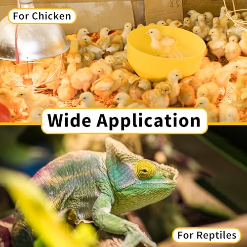 250 Watt Heat Lamp Bulbs, Clear Incandescent Heating Outdoor Light Bulb for Bathroom, Chickens, Chicks, Ceiling, Reptile, Food, Plants, Medium E26 Base - 2 Pack - size: 2 Pack