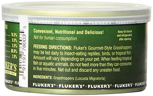 Fluker's Gourmet Canned Food for Reptiles, Fish, Birds and Small Animals, Grass Hoppers 1.2 oz - size: 1.2 Ounce (Pack of 1), style: Grass Hoppers