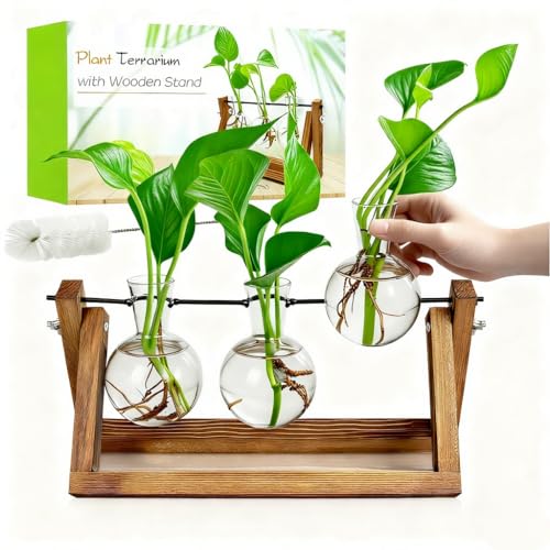 Plant Propagation Station, Plant Terrarium with Wooden Stand | Unique Gardening Birthday Gifts for Women Plants Lovers, Home Office Garden Decor Planter - 3 Bulb Glass Vases - size: 3 Bulb Vase