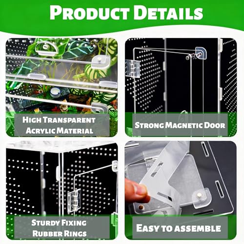 Large Jumping Spider Enclosure, Acrylic Ventilated Terrarium with Magnetic Front and Top Doors, 8.5x8.5x12 Inch, Transparent, Lockable (Large Size) - size: Large Size