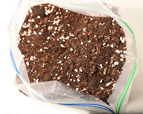 Perfect Plants Succulent & Cactus Soil, 8 qt, Organic Potting Mix | Fast draining blend of peat moss, composted pine bark, perlite and lime for the dry roots cacti love, resealable bag - size: 8 quarts