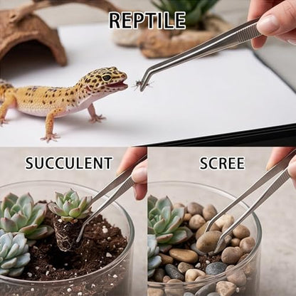 2-in-1 Bonsai Tweezers Set - 8.8" Stainless Steel Long Plant Tweezers with Rake & Spatula Tips, Straight + Curved Tools for Bonsai, Succulents & Terrariums