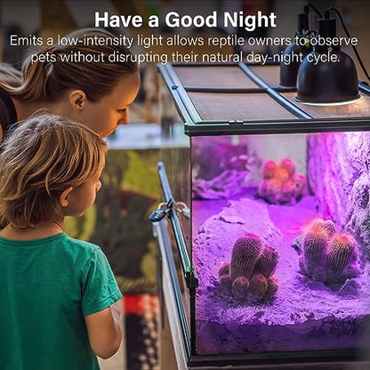 Reptile Heat Lamp Bulbs-100W Reptile Night Heat Bulb E26 Terrarium Heat Lamp Simulate Natural Moon Purple Light for Snake Bearded Dragon Leopard Gecko Lizard Chameleon Tortoise -2Pack