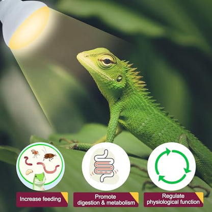 150W Reptile Heat Lamp Bulb,Basking Spot Lamp Bulb for Reptiles & Amphibians，Reptile Daylight Heat Bulb for Bearded Dragon, Lizard, Turtle - size: 150*1