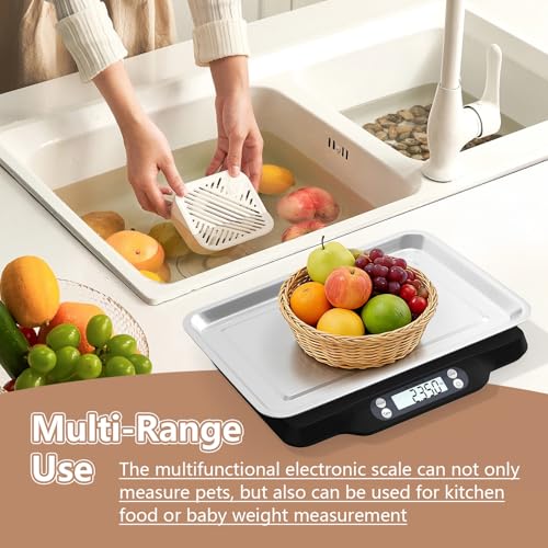 Helsevesen Digital Little Animal Precision Scale(30kg/2g; 66lb/0.1oz), Kitchen Scale, Postal Scale, Compact Bench Scale, Digital Wet Diaper/Organ Scale