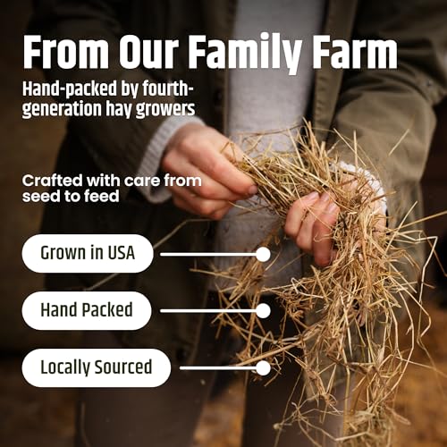 High Desert Timothy Hay Pellets for Rabbits, Guinea Pigs, Small Pets, 63 oz | Compressed Grass Fiber Formula, Supports Healthy Digestion, Great For Chinchillas, Hand Packed in the USA, Low Dust Mess Free - size: 3.94 Pound (Pack of 1)