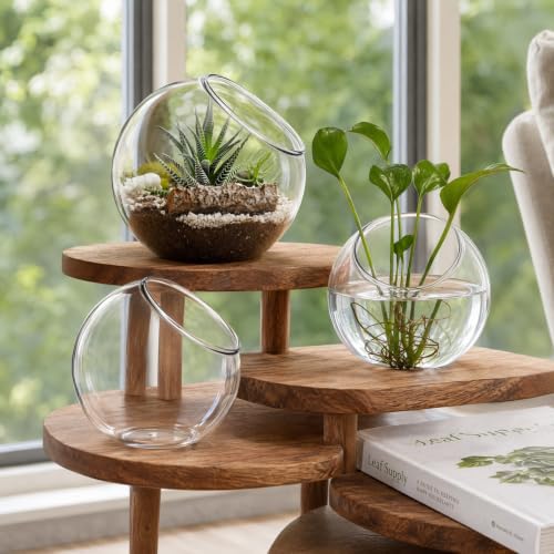 IMIKEYA Plant Terrarium Display: 3Pcs Slanted Glass Terrarium Containers Air Plant Glass Sphere Succulent Display Bowl Vase for Home Tabletop Microlandschaft