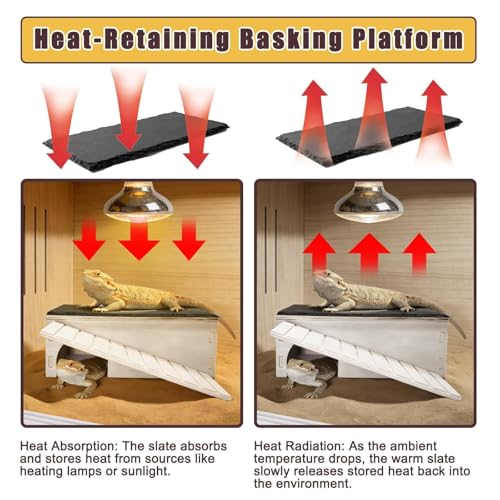 Large Bearded Dragon Basking Platform,Wooden Reptile Hide Cave with Slate Rock Climbing Ramp Tank Accessories for Leopard Geckos,Lizard,Snake,Tortoise - size: L:12.9×7.1×4.7"