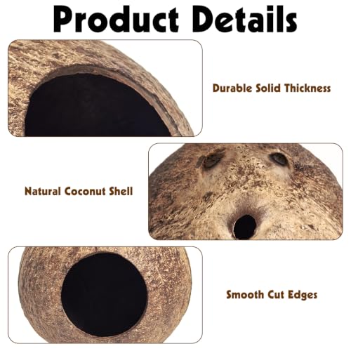 PINVNBY 2 Pcs Natural Coconut Shell Reptile Hide Crested Gecko Tank Accessories for Small Lizard Leopard Gecko Spider Snail Hermit Crab Hideout - size: High-Crowned Style, 2PCS