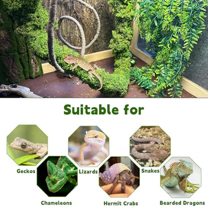 BNOSDM Reptile Plants,Flexible Rainforest Vines with Moss,Bendable Jungle Climbing Vines,Terrarium Artificial Plants Decor for Bearded Dragon,Hermit Crab,Snake,Geckos,Chameleon,Lizard - size: 3Pcs | Style: 43in Rainforest Vines