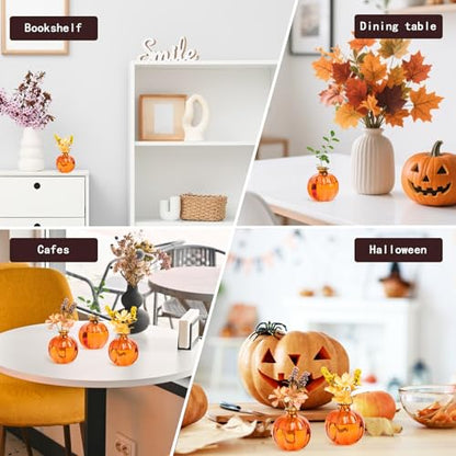XXXFLOWER Plant Terrarium Propagation Stations Unique Gifts for Women Plant Lovers 3Pcs Pumpkin-Shaped Glass Vase for Tabletop Home Office Garden Decor (Plants NOT Included) - size: 3PCS Pumpkin Vase