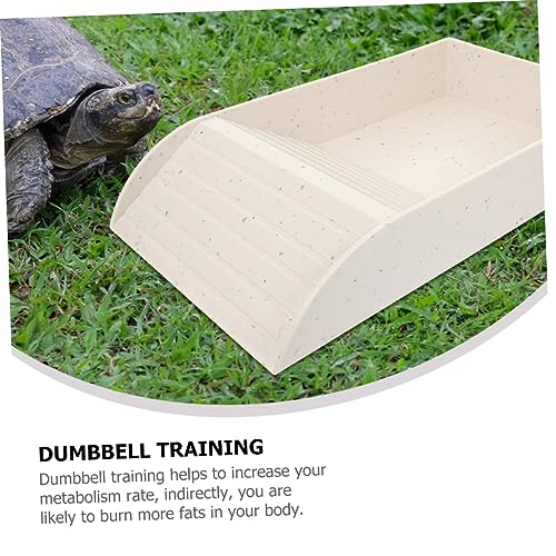 Turtle Basking Platform Aquatic Turtle Ramp Multipurpose Reptile Food and Water Feeding Dish Frogs and Fish Tank Decoration