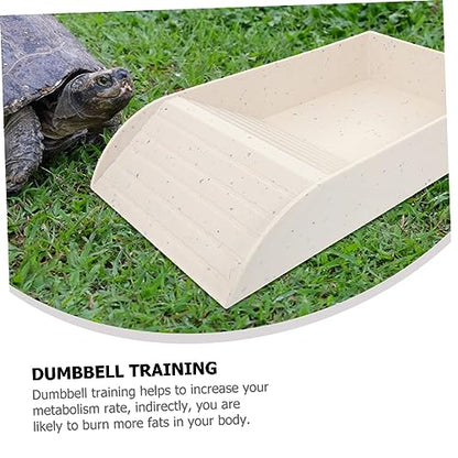 Turtle Basking Platform Aquatic Turtle Ramp Multipurpose Reptile Food and Water Feeding Dish Frogs and Fish Tank Decoration