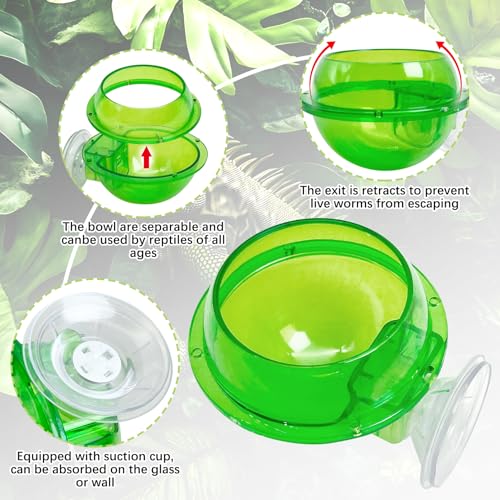Tfwadmx Chameleon Bowl, Reptile Feeding Feeder,Worm Live Fodder Container, Water Dish Gecko Ledge Suction Cup Feeder Chameleon Supplies Accessories for Gecko Lizard Bearded Snakes Dragon 2 Pcs