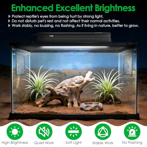 UVB Light for Reptiles Bearded Dragon, T5 UVB Reptile Light Fixture HO UVB Bulb Lighting Combo Kit 10.0 8W UVA UVB Reptile Light Bulb Terrarium Lamp Tube Bar for Snake Gecko Turtle Lizard, 12 Inch - size: T5-12Inch