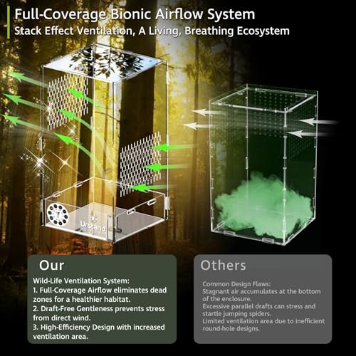 Jumping Spider Enclosure, Acrylic Spider Terrarium with Magnetic Door, Side-Opening, Laser-Cut Biomimetic Ventilation System, Escape-Proof for Feeder Insects (6.5"x6.5"x12") - size: 6.5"x6.5"x12" - Side-opening