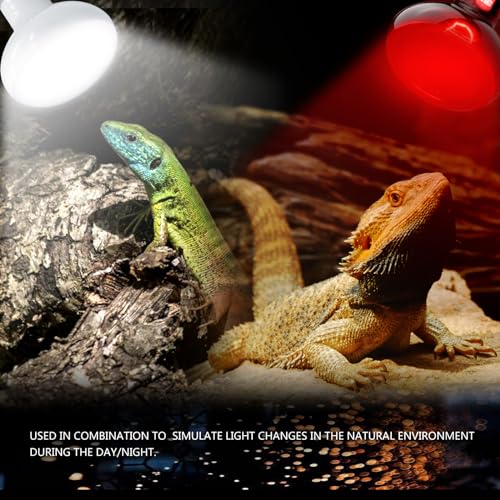 Reptile Heat Lamp Bulbs 100W 2 Pack,Day and Night Infrared Basking Spot Heating Light Combo,UVA Heat Lamp Bulb for Reptile and Amphibians,Bearded Dragon, Lizard, Turtle