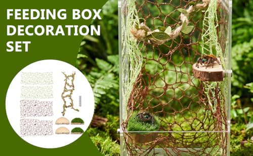 Jumping Spider Habitat Decor, Acrylic Insect Habitat Accessory Set with Magnetic Wooden Platform, Rope Ladder & Climbing Net, Natural Decor for Reptiles